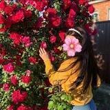@Fazowcham🌸