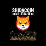 Millionaire Shiba