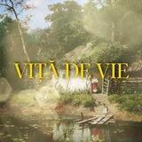 VIȚĂ DE VIE