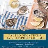 Устрица тур Oyster.tour.crimea