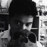 Crazy's diary3