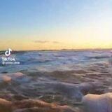 🌸 بــحــ۫͜ـــڒٍ آلـــســلــفيةً 🐚