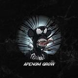 APENOM GROW