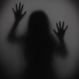 Crypto Shadow🕷️