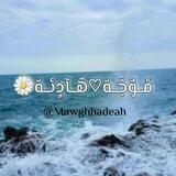 مًوٌجّهّ♡هّآدٍئهّ 🌼