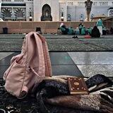 حبيبة رمضان 🌸