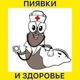 Пиявки Казань