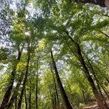 دین و زندگی متوسطه دوم
