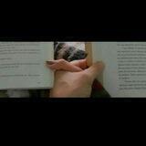 ٢٢ أكتوبر