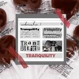 Trᴀnquiliᴛyᶜʰᵃᶰᶰᵉᶫ