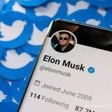 Elon Tweet by @UnknownApes
