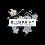 REGISTRATION OF BLUEPRINT