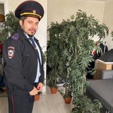 Трэш, угар и вызова