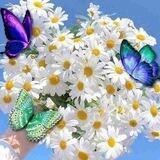 🌼🌻🌼Sevimli_Ayollar🌼🌻🌼