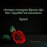 Сенга аталган хат