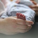IAF - Infants 👶 Portal