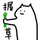各种资源分享/节点👍