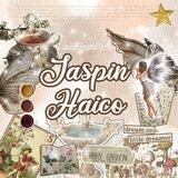 JASPIN HAICO : OPEN.