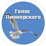 Голос Пионерского — чат
