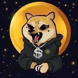 DOGE!!! | PORTAL