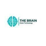 The Brain Chain Portal