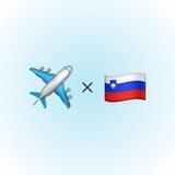 гаид ✈️ словения