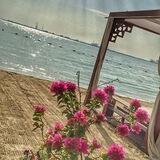 🌹ارقى الكلمات🌹