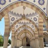الحب