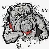 Bully Dog Official Group