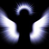 CUSTODI DEGLI ANGELI - SegnalAzioni