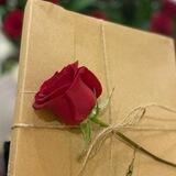 تعليقات 🤝🤝🤝🤝🤝🤝