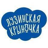 Лузинская крыночка