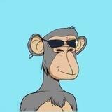 Monday Ape News Channel