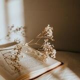 🌿𝚑𝚘𝚞𝚜𝚎 𝚘𝚏 𝚊𝚎𝚜𝚝𝚑𝚎𝚝𝚒𝚌𝚜🔗