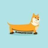 ELONGATED DOGE - OFFICIAL