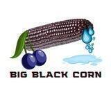 BIG BLACK CORN - PORTAL 💦