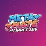 MetaMate Arabian Community