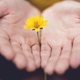 Lifting the Veil - Information for Enlightenment |NO ADS or SCAM POSTS|