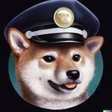 SafeMoon Doge Portal