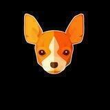 Chihuahua Family CN