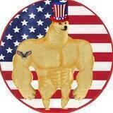 American Doge Portal