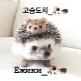 고슴도치_ Ⲕⲁⲏⲁⲗ