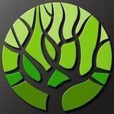 🌏Metaverse Forest Token Official