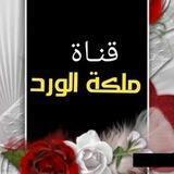 ❀.قنـَ۪۪ٜ۪۪۪ٜؒؔـۛৣـ⵿ٰٰٰٖٜٖٖٜ۬۬ـاةمًلَڪہٰٰ۪۪۫۫ةّ آلَـٰٰٖـٰٰٖوٌردٍ⸙💐❀