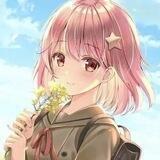 淼淼在币圈（每日金狗）