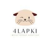 4_lapki