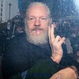 Julian Assange WIKILEAKS