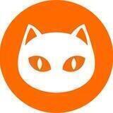 Ninneko Announcement