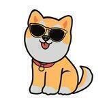 PEAKY SHIBA