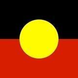 Aboriginal Voice Exposed